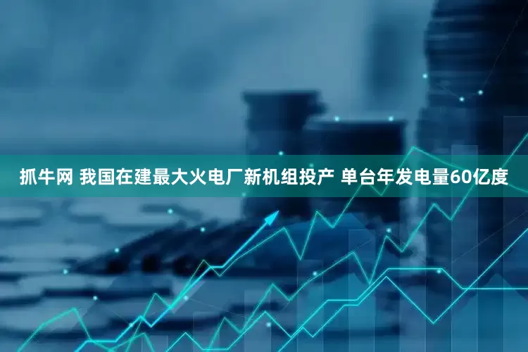 抓牛网 我国在建最大火电厂新机组投产 单台年发电量60亿度