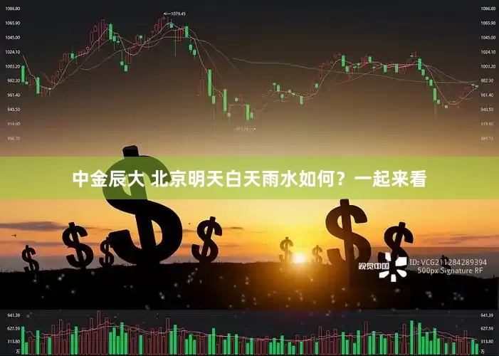中金辰大 北京明天白天雨水如何？一起来看