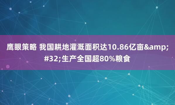 鹰眼策略 我国耕地灌溉面积达10.86亿亩&#32;生产全国超80%粮食