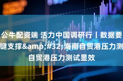公牛配资端 活力中国调研行丨数据要素成关键支撑&#32;海南自贸港压力测试显效